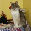 Отзыв от Катя Чеснокова
